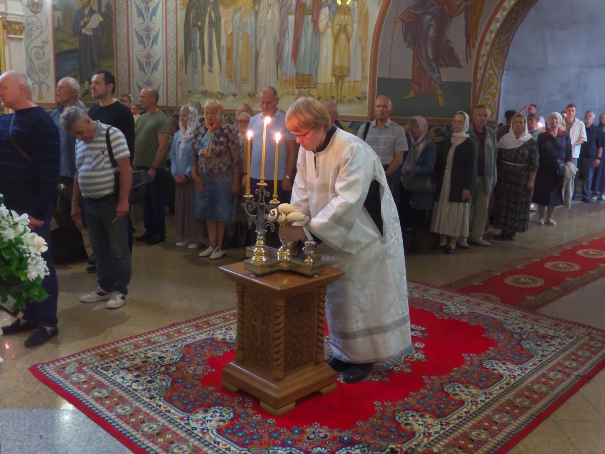 ���������&nbsp;������&nbsp;��������&nbsp;���������&nbsp;������������&nbsp;��������