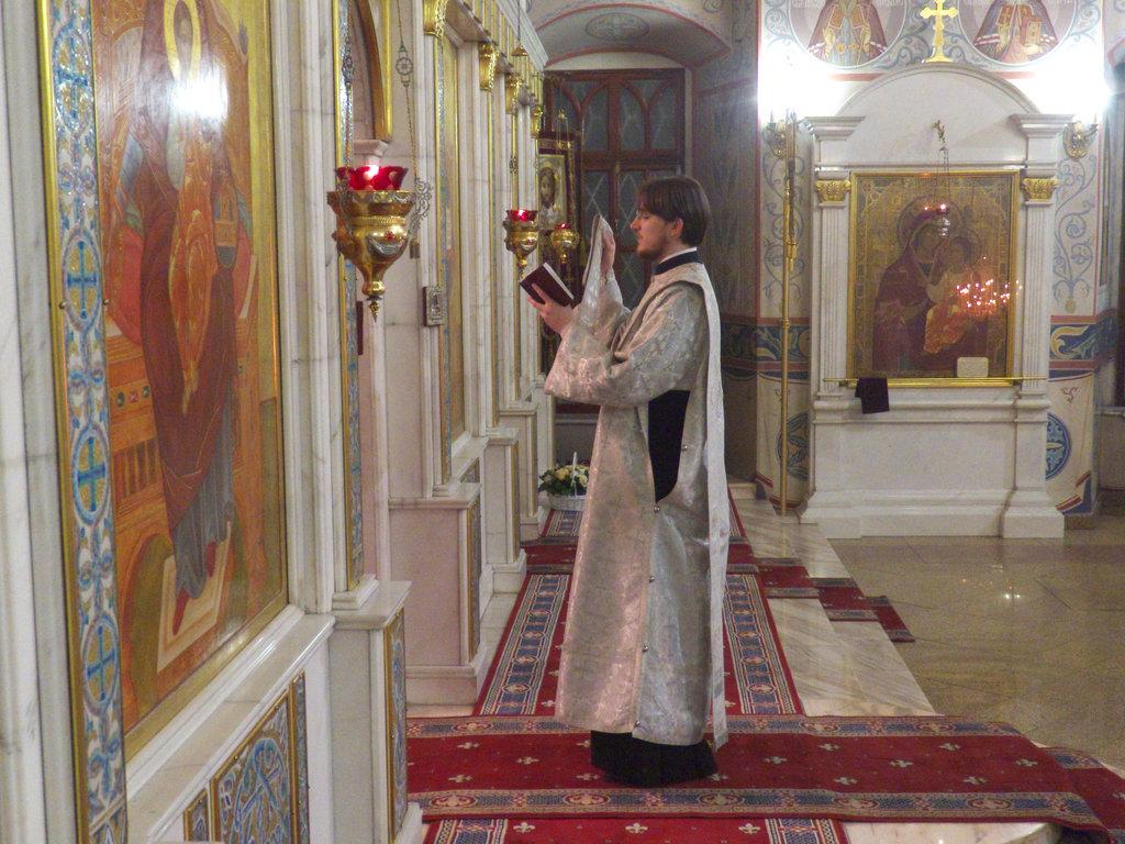 ��������&nbsp;��������