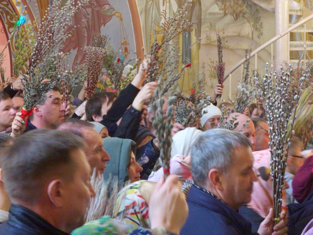 ����&nbsp;���������&nbsp;��&nbsp;���������.&nbsp;��������