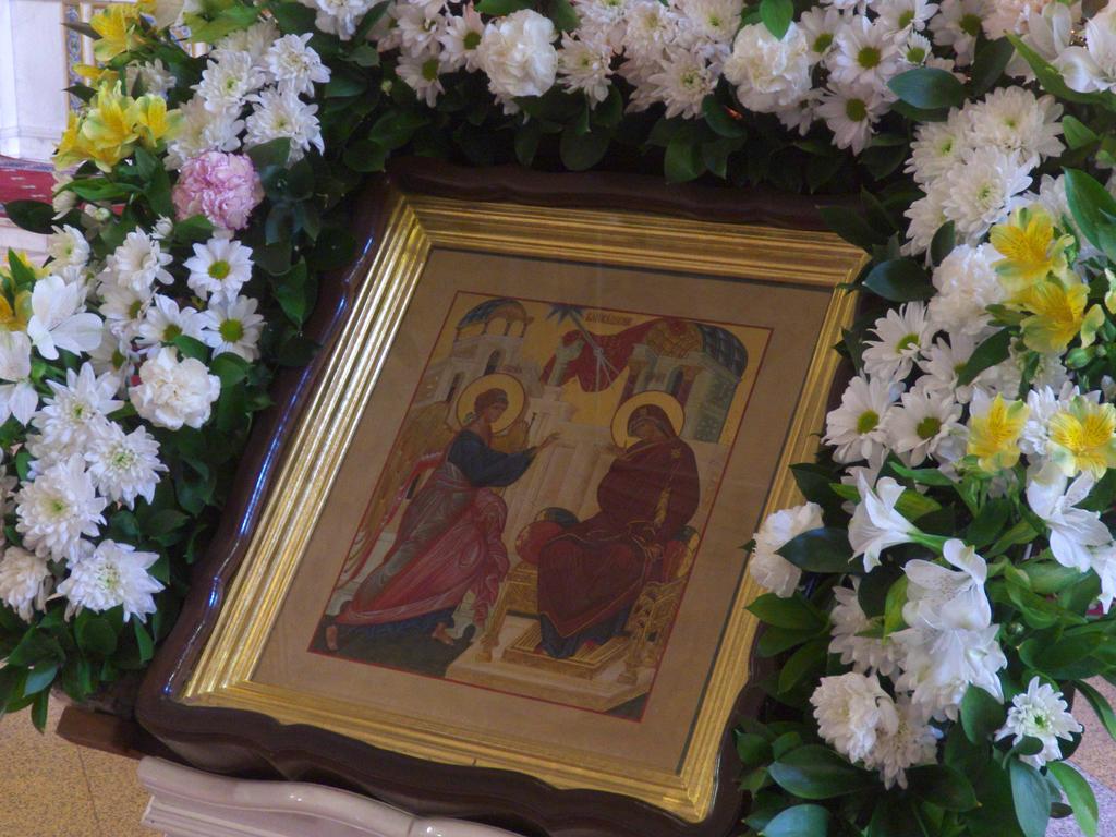 ���������������������������������������������������������������