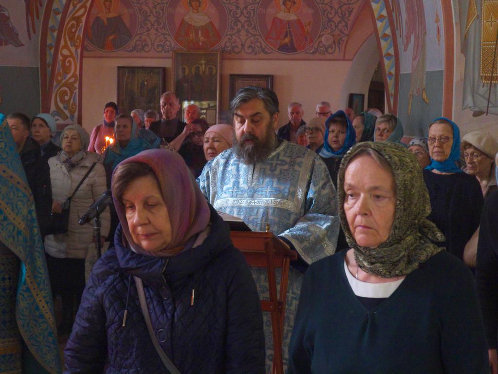 ������������&nbsp;���������&nbsp;����������