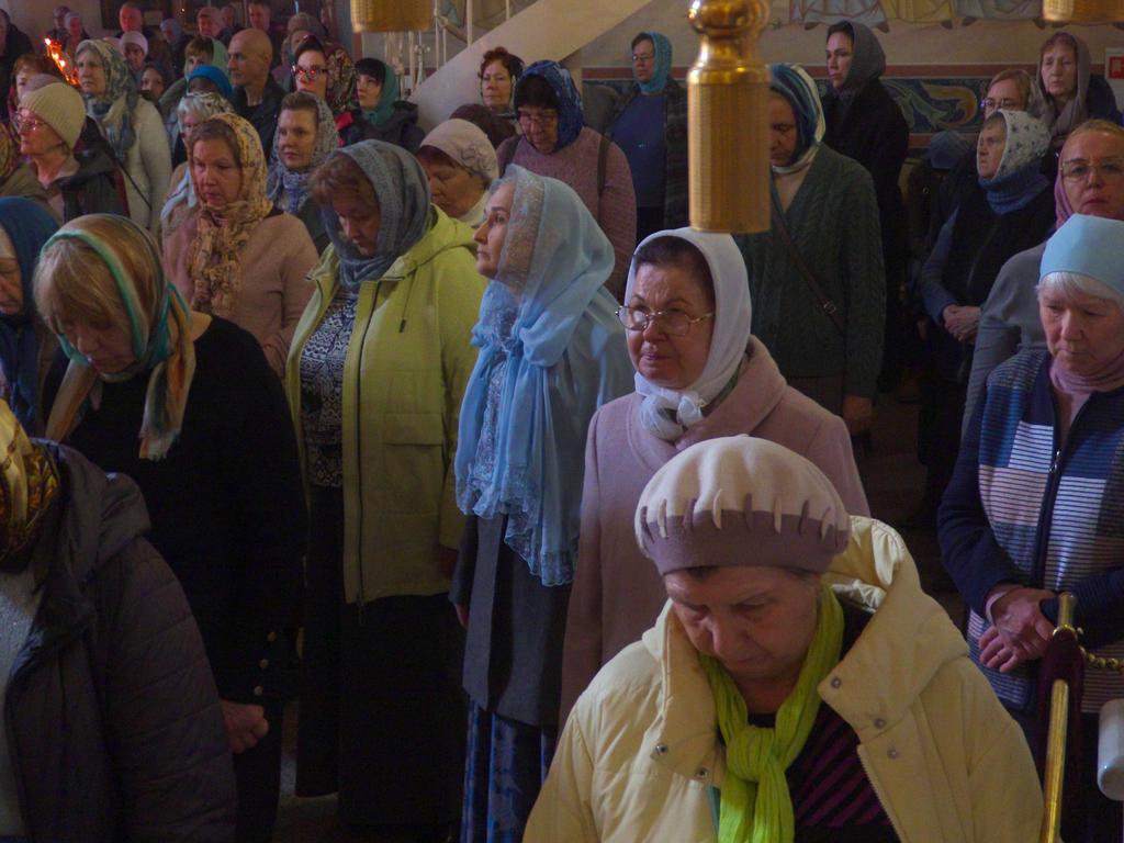 ������������&nbsp;���������&nbsp;����������