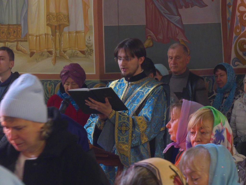 ������������&nbsp;���������&nbsp;����������