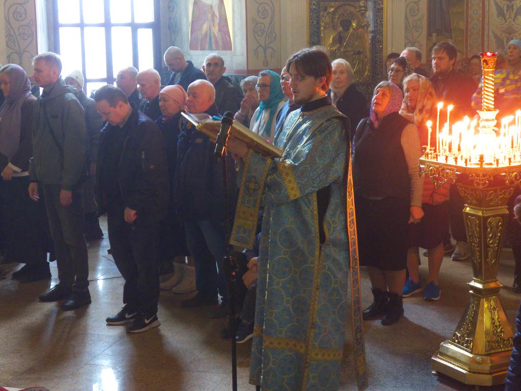 ������������&nbsp;���������&nbsp;����������