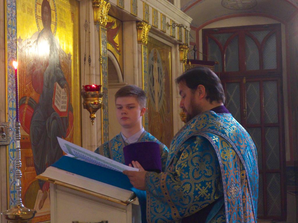 ������������&nbsp;���������&nbsp;����������