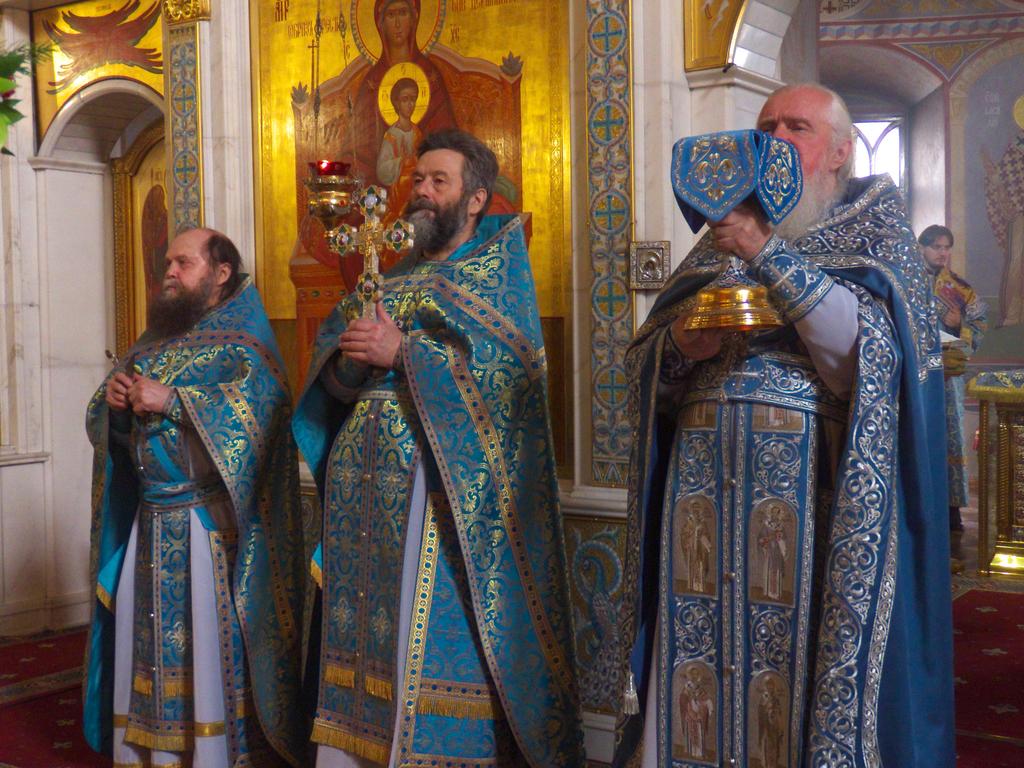 ������������&nbsp;���������&nbsp;����������