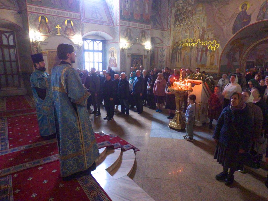 ������������&nbsp;���������&nbsp;����������