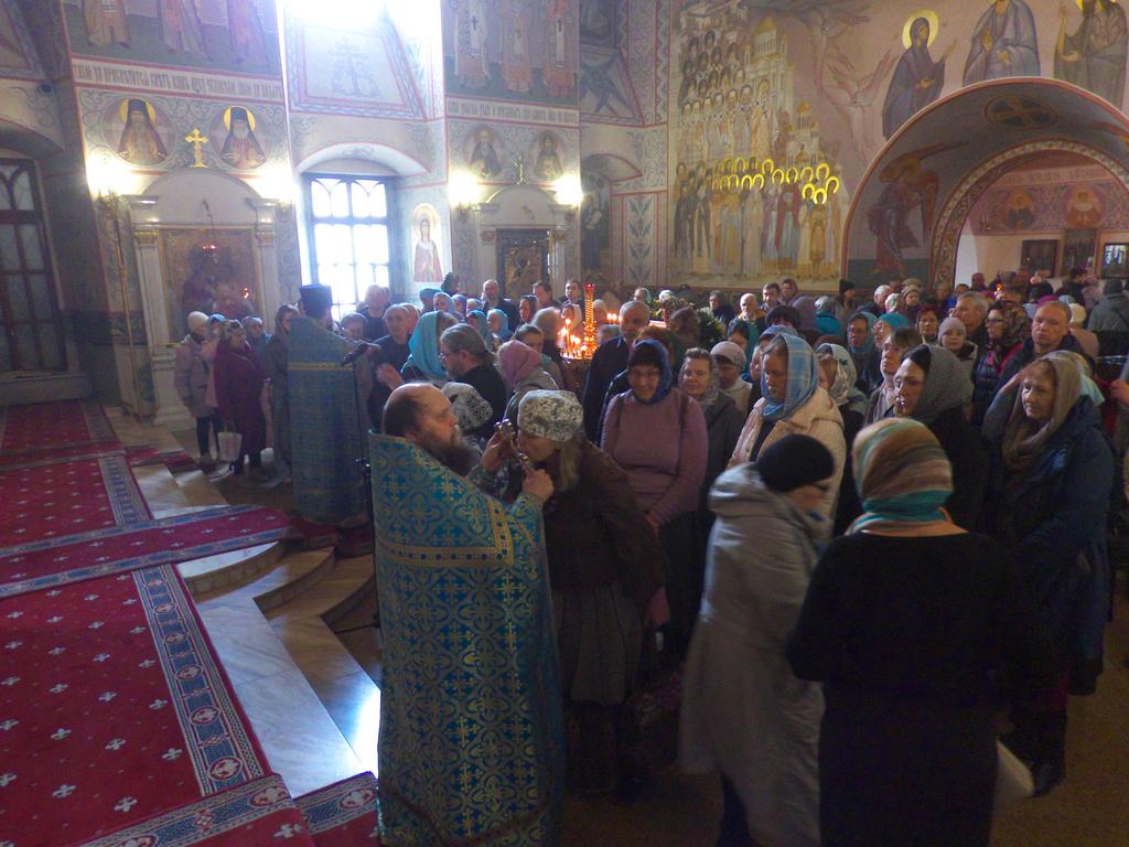 ������������&nbsp;���������&nbsp;����������