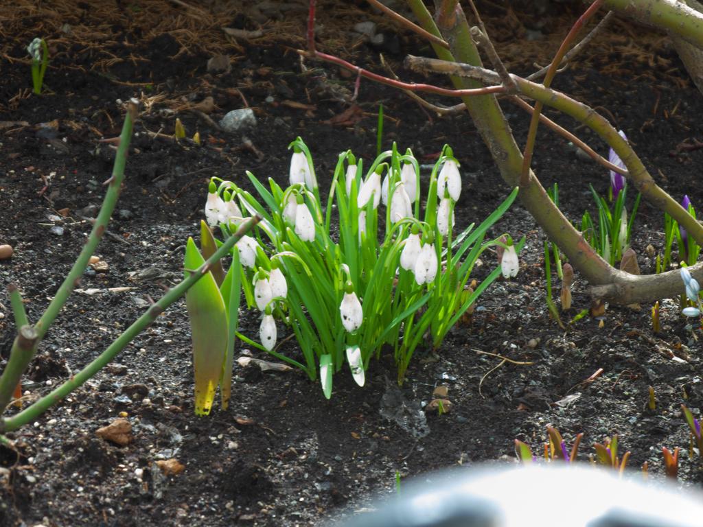 ������������&nbsp;���������&nbsp;����������