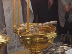 ��������&nbsp;��������